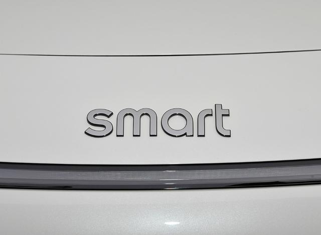 2024车市观察:新能源转型失败,smart面临危机?_选车网|公众的选车平台