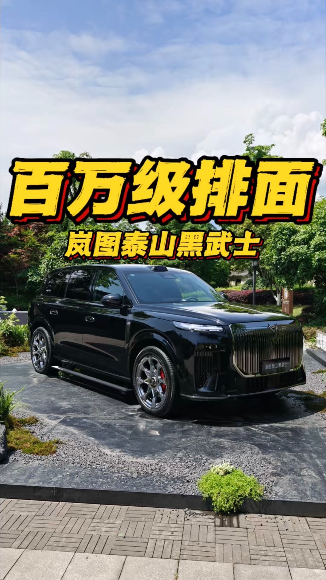 百万级排面 岚图泰山黑武士