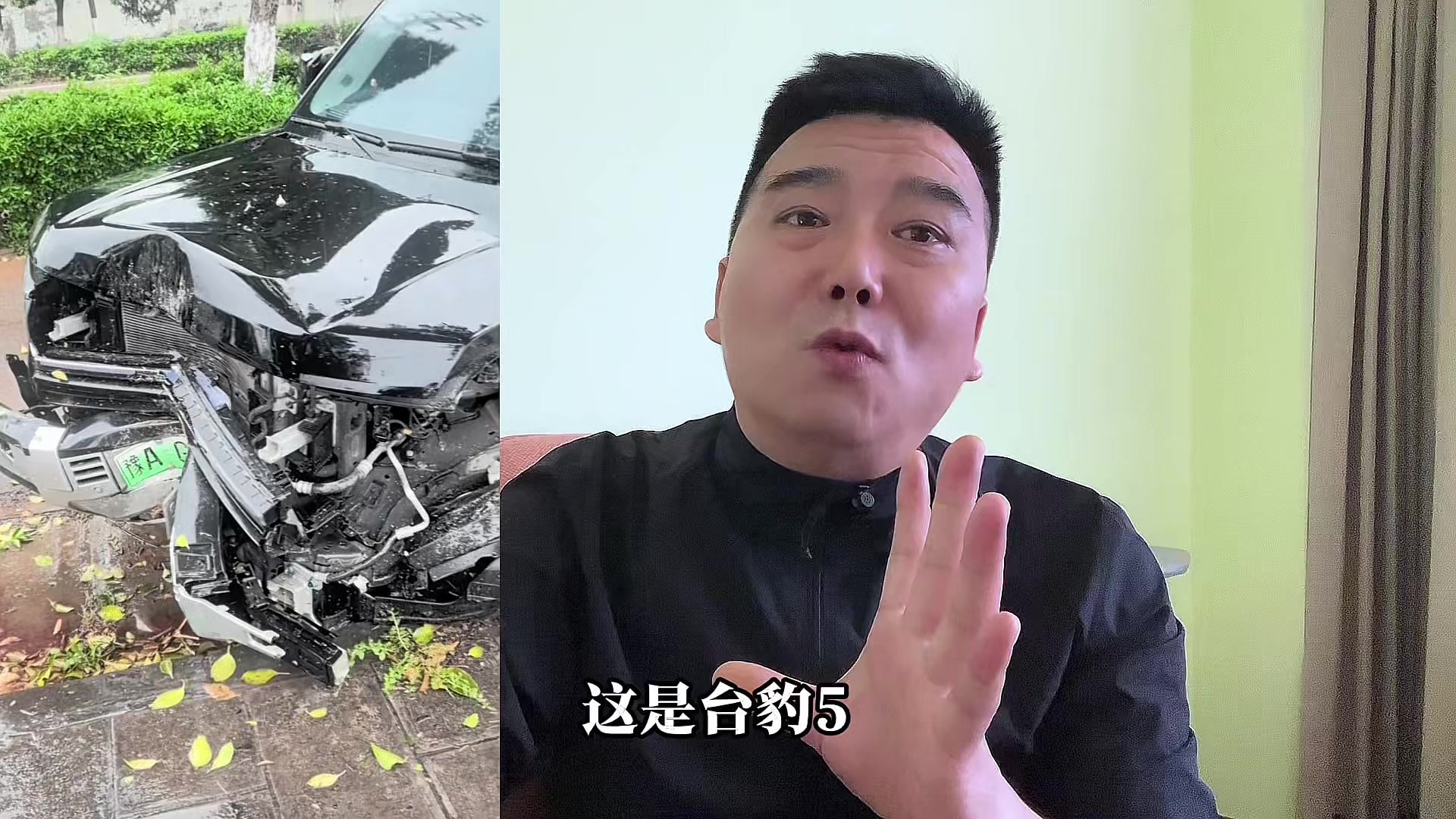 感谢豹子救命恩！雨天撞断树车主毫发无损，豹5是真硬
