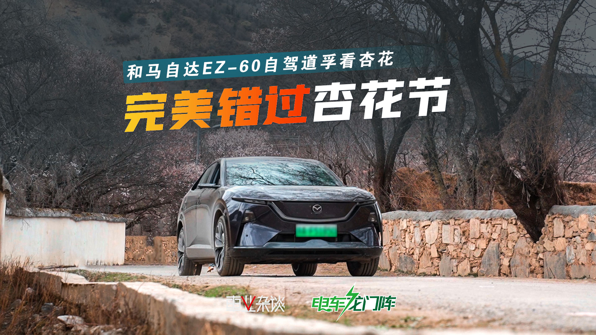 谁懂啊！自驾1000公里去道孚看杏花，结果整个村的杏花都落光了