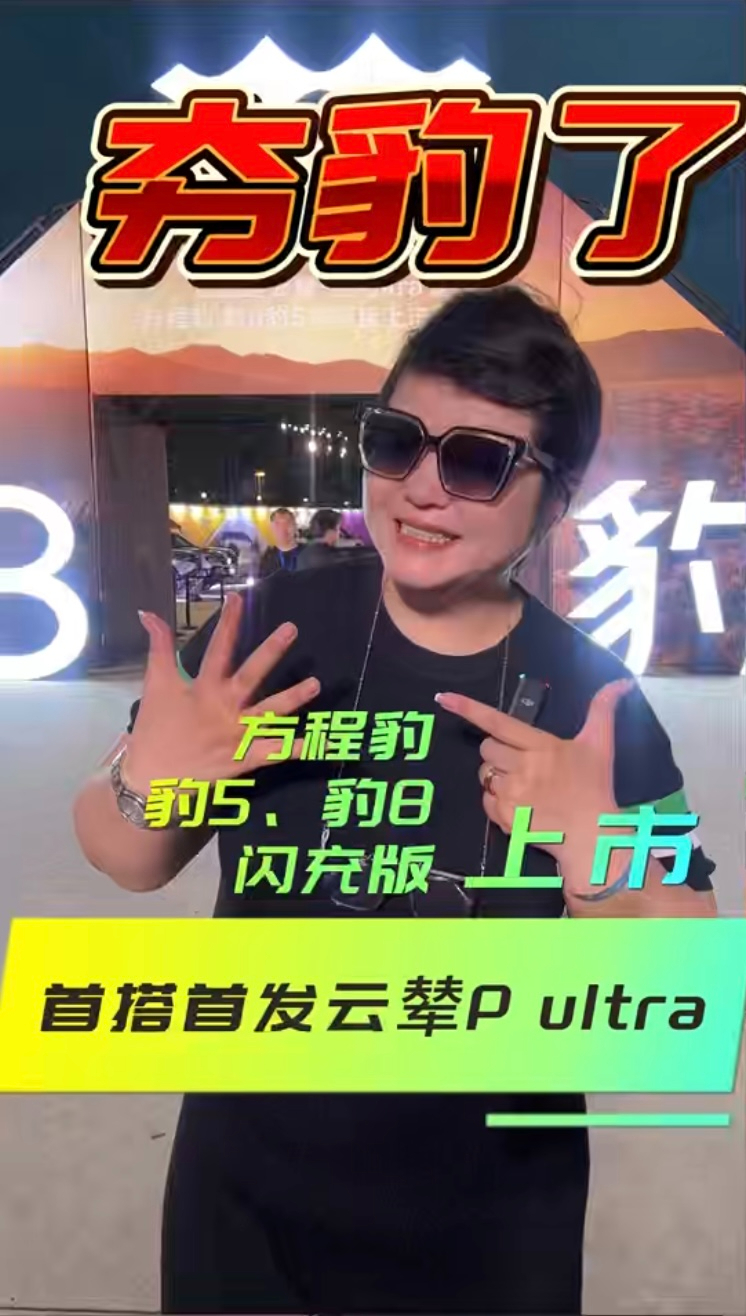 夯爆了!方程豹豹5、豹8闪充版上市!