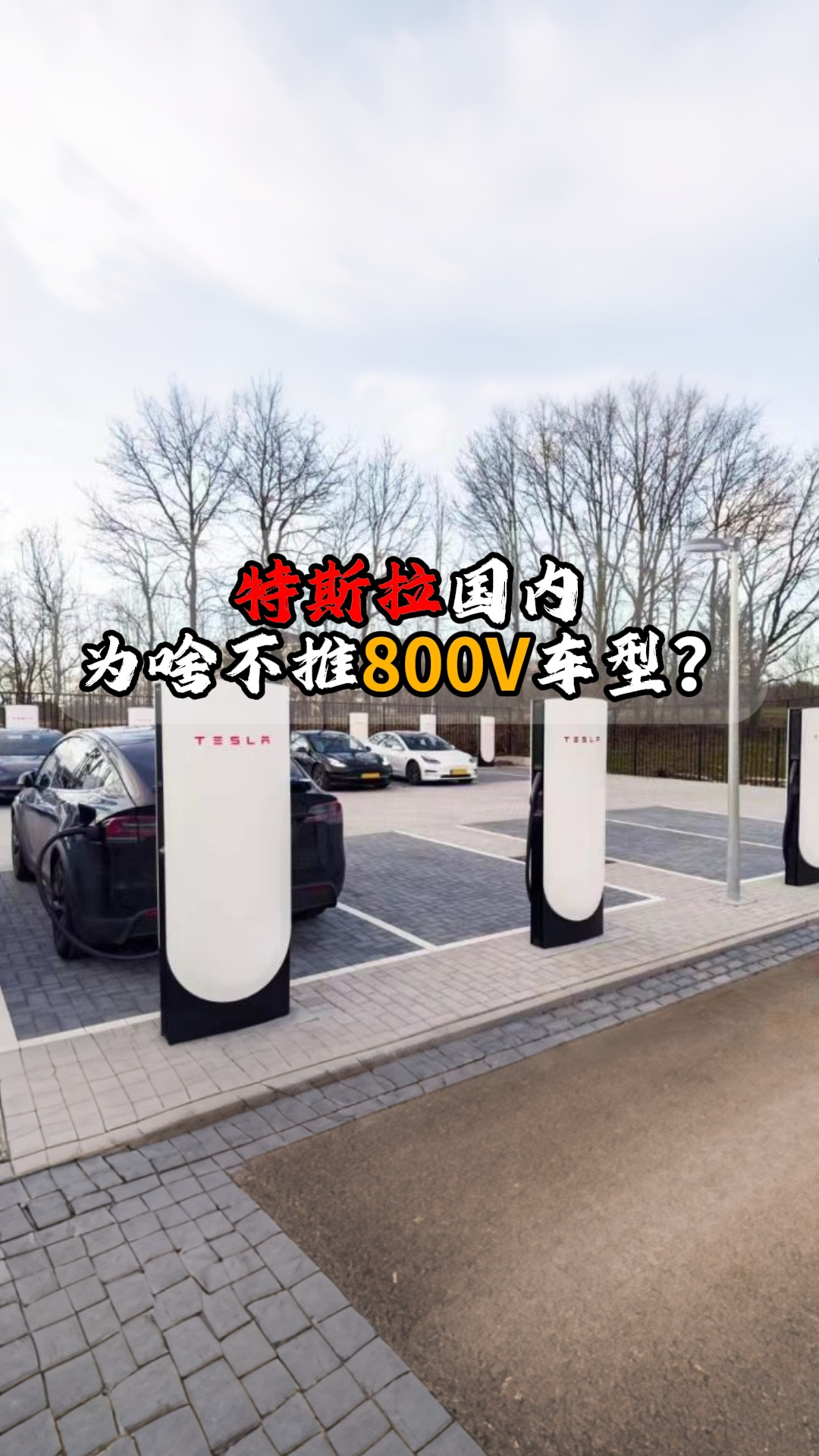 特斯拉国内为啥不推800V车型?