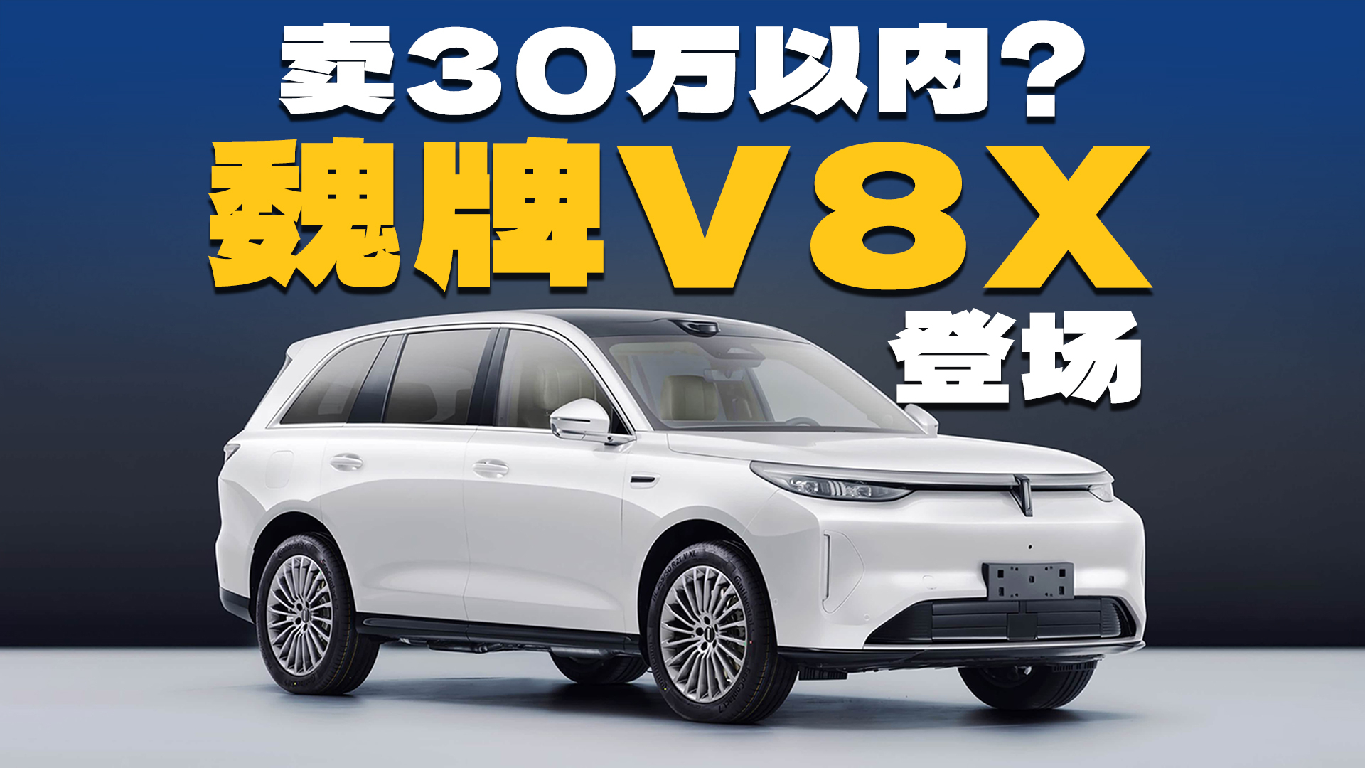 大五座，两套动力，魏牌V8X登场，会卖30万以内？