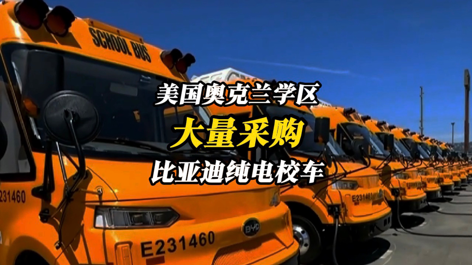 扛不住了！美国奥克兰学区，全面启用比亚迪纯电校车