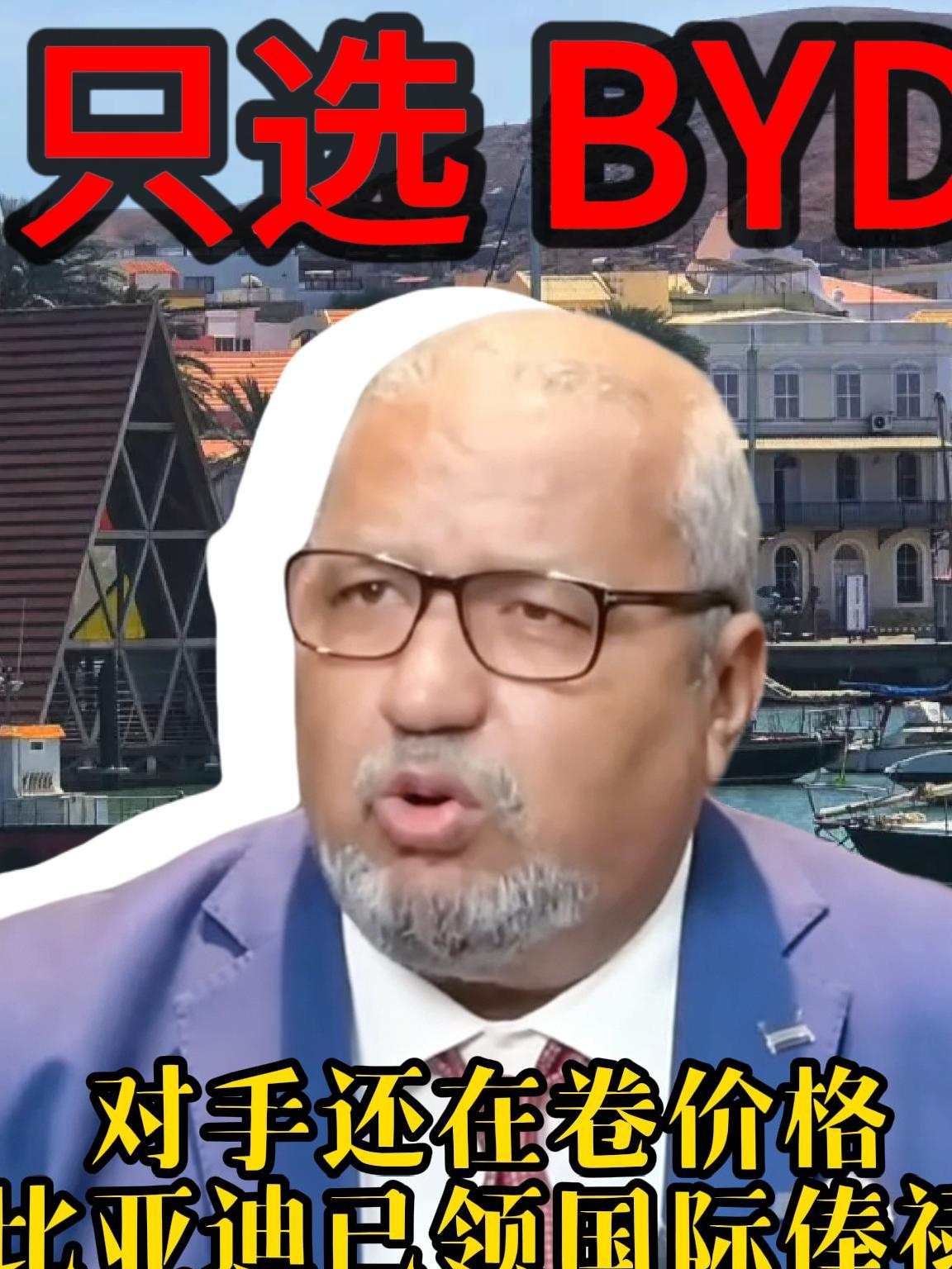 世界那么大，比亚迪替我们全考上了