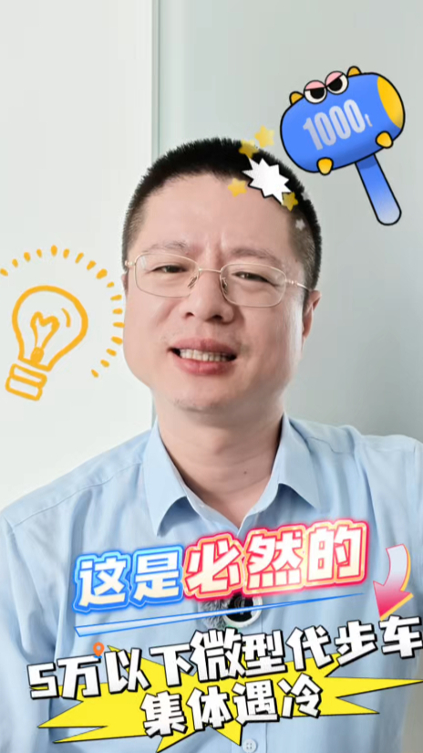 5万元以下微型代步车集体遇冷,这是必然的