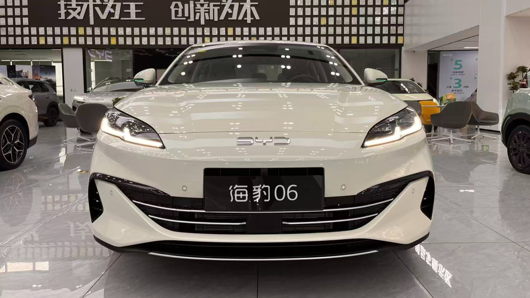 海豹06,现在抄底正当时