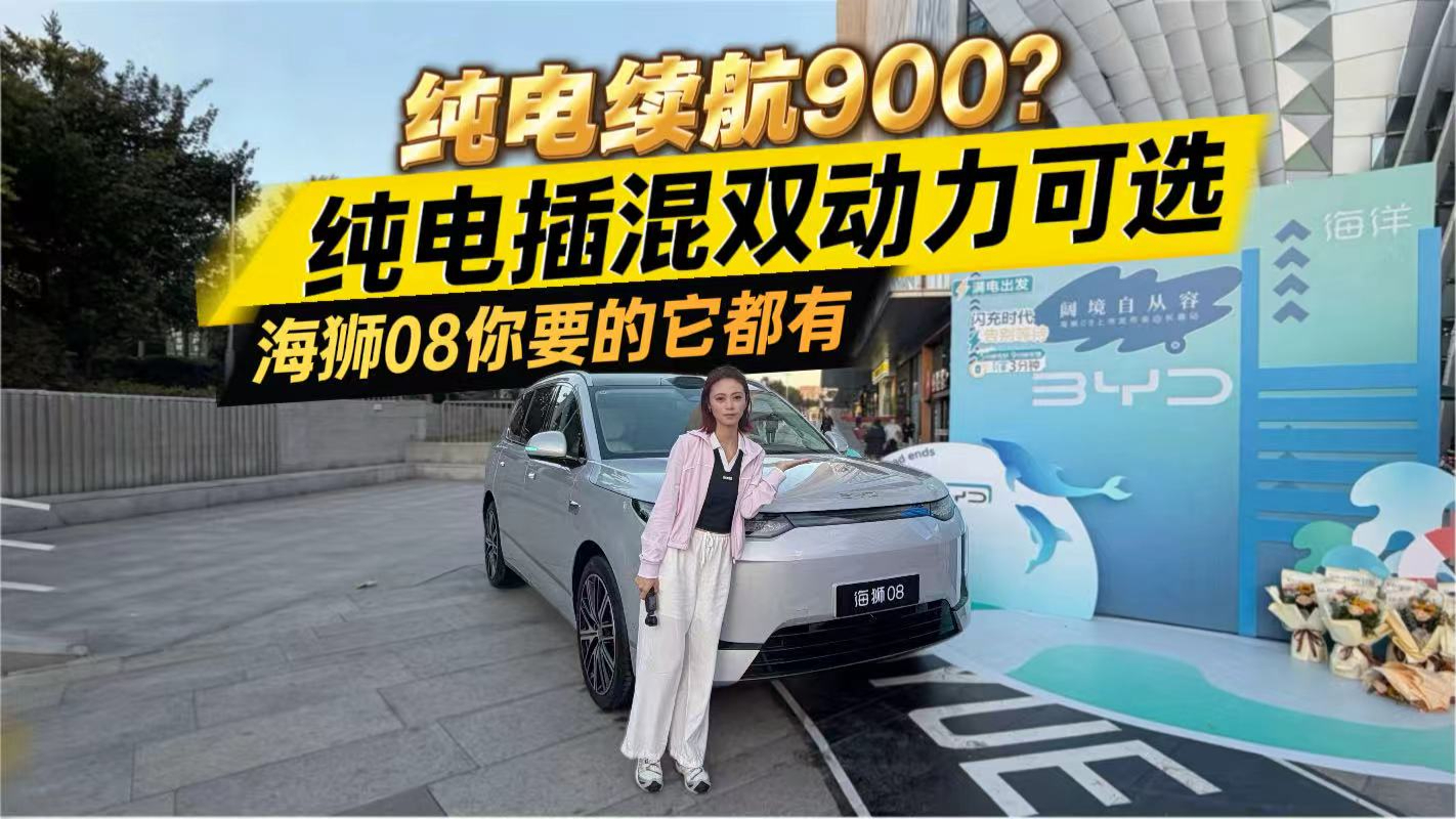 纯电插混双动力可选 纯电续航900 海狮08 你要的它都有